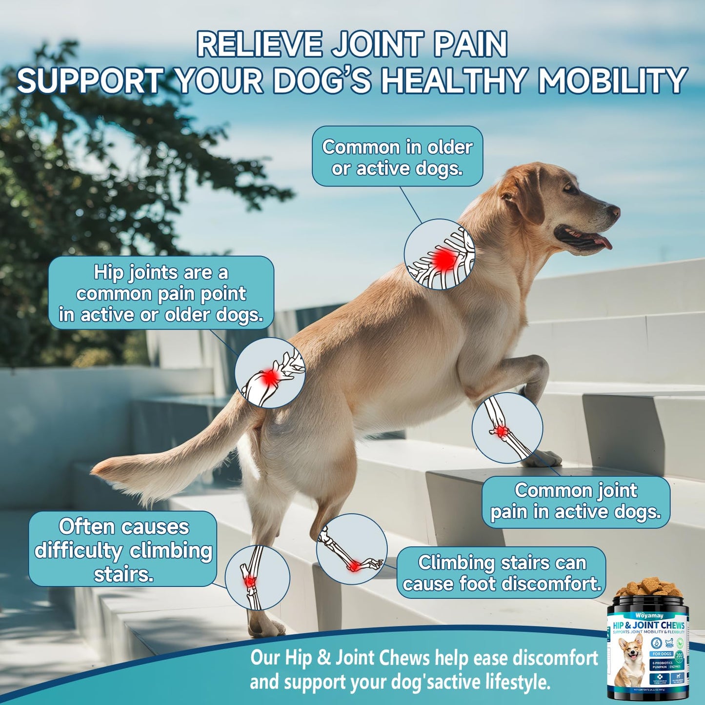 Hip and Joint Supplement for Dogs, Glucosamine for Dog Joint Supplement, 200 Soft Chews with Glucosamine, Chondroitin and MSM Dog Hip and Joint Supplement for All Ages and Breeds, Chicken Flavor
