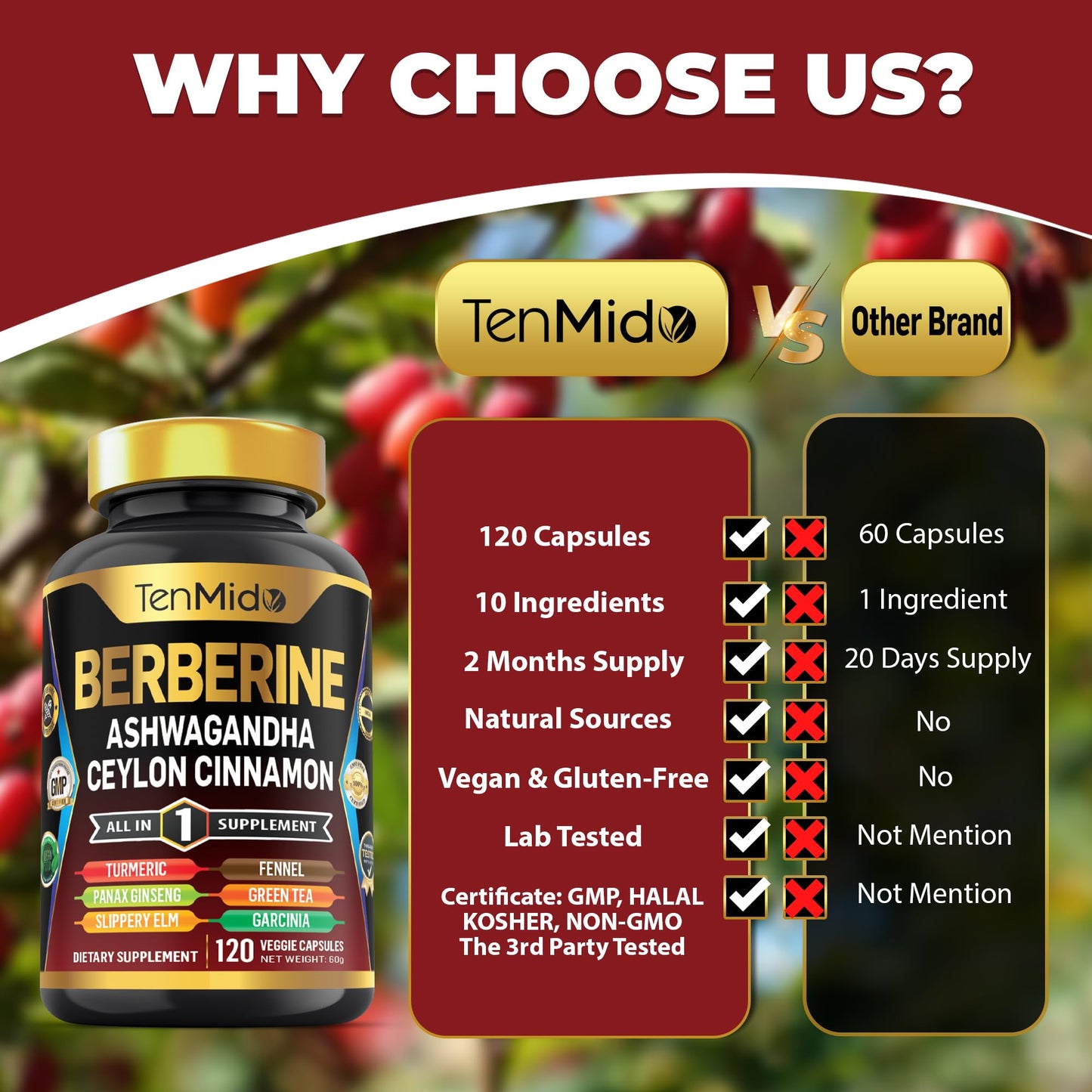Tenmido Berberine Supplement - 10in1 Formula with Ashwagandha, Ceylon Cinnamon, Turmeric, Panax Ginseng, Slippery Elm, Fennel, Green Tea, & More - Immune, Digestive Support - 120 Caps - Medaid International