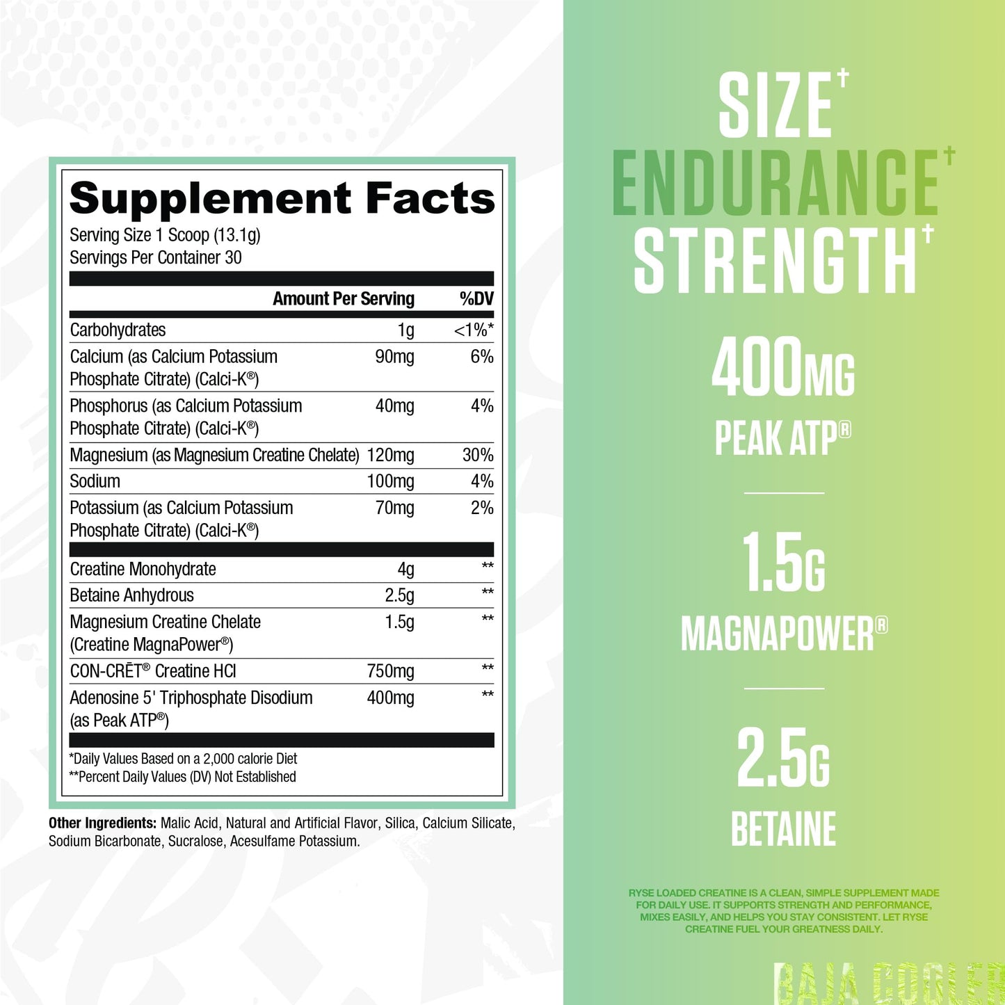 RYSE Loaded Creatine for Men & Women - Baja Cooler - Muscle Building Formula with 3 Forms of Electrolytes, Betaine Anhydrous and Peak ATP - Strength, Power & Endurance Support - 30 Servings - Medaid International
