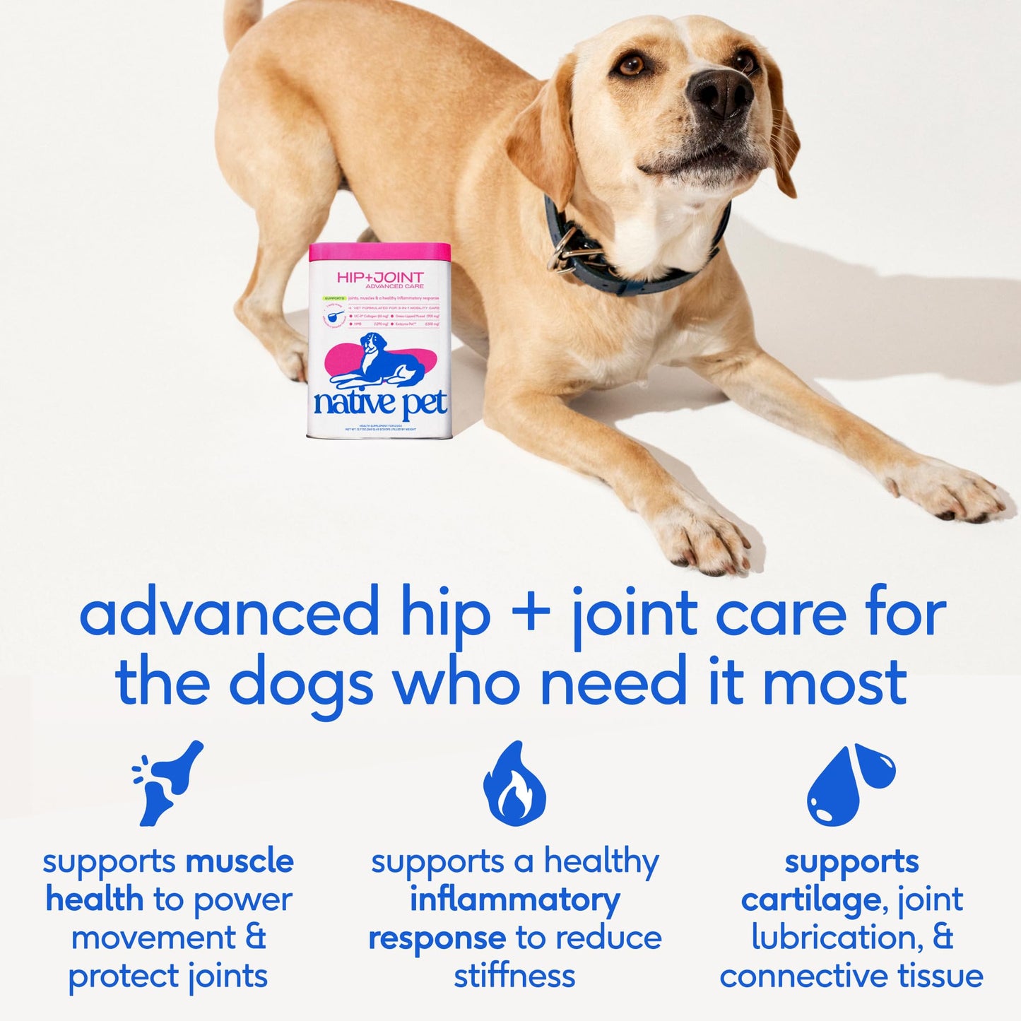 Native Pet Hip & Joint Advanced Care Dog Joint Supplement Powder for Mobility & Movement Support, Joint Supplement for Dogs with HMB, UC-II Collagen, Green Lipped Mussel & Hyaluronic Acid – 30 Scoops