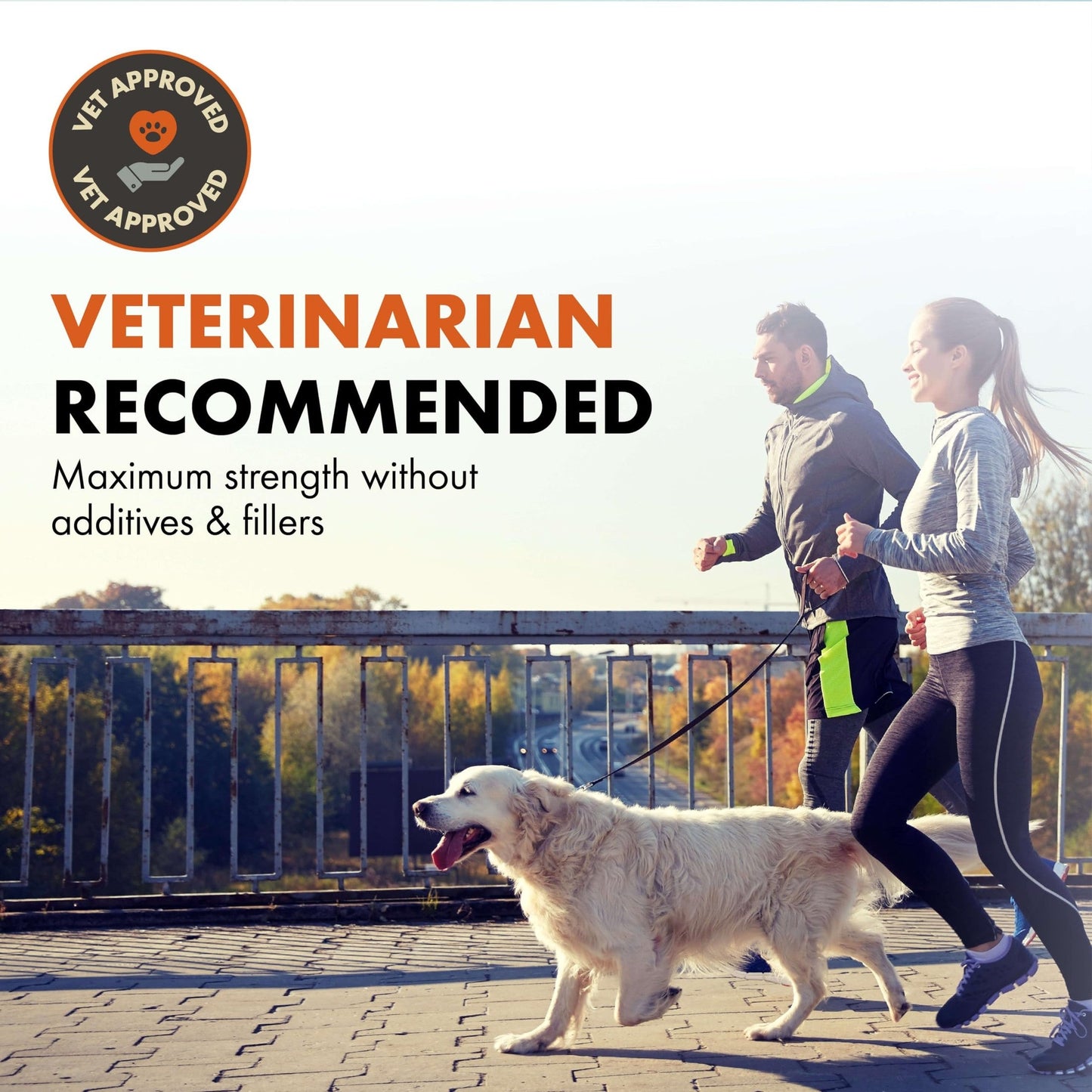 Free Range Joint Health Enhancer Supplement Powder for Dogs by Alpha Dog Nutrition - Premium Dog Arthritis Vitamins to Care for Joints - Contains Glucosamine, Chondroitin, MSM, Vitamin E, & More