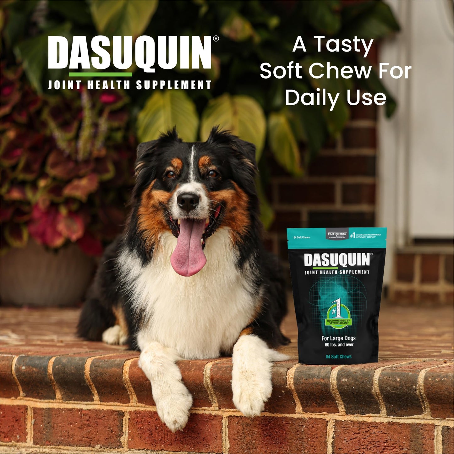 Nutramax Dasuquin Soft Chews, Large Dog, 84 Count