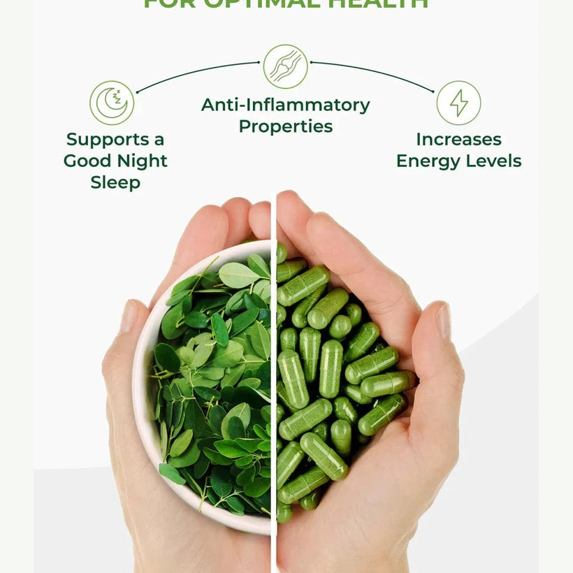 Moringa Leaf Powder مسحوق أوراق المورينجا