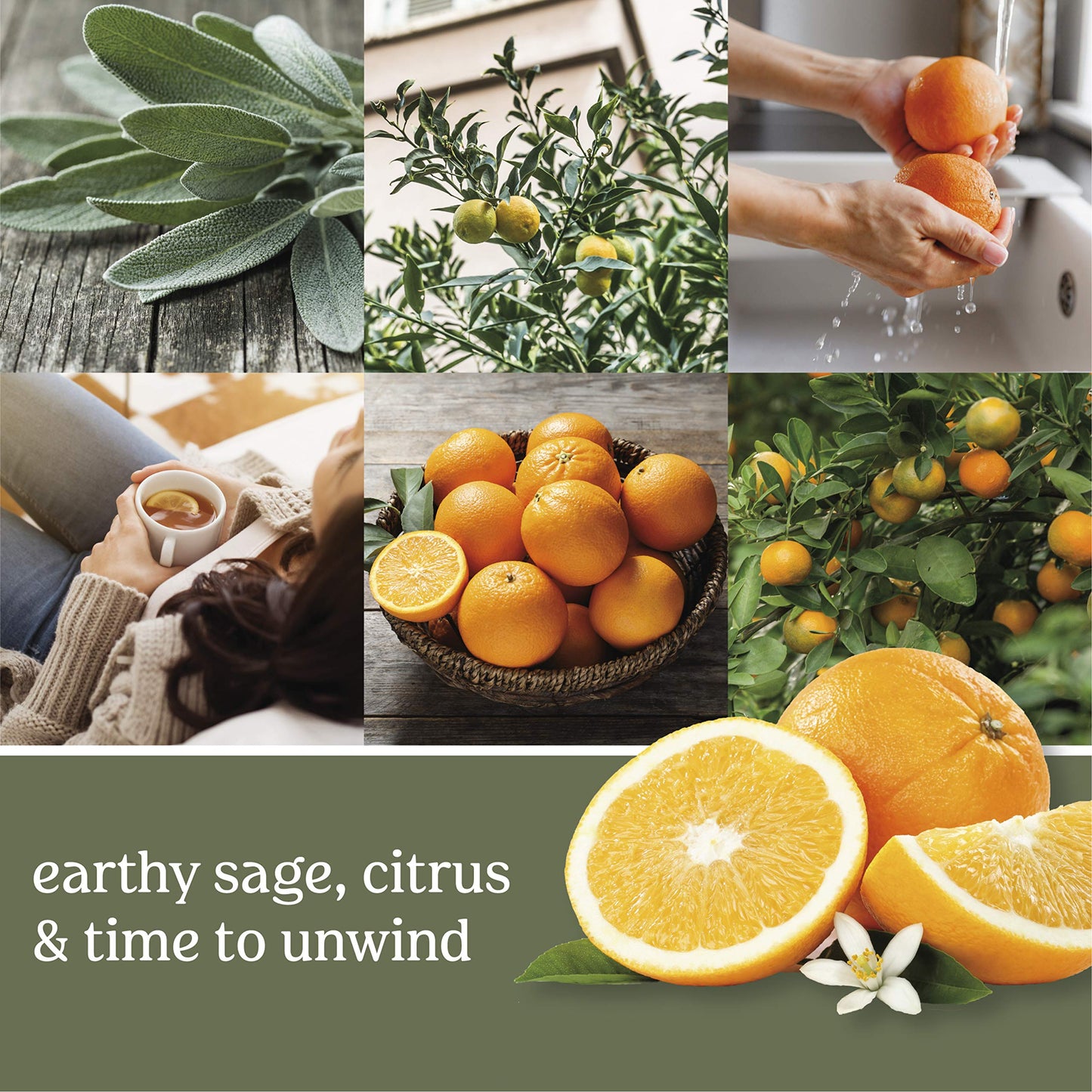 Yankee Candle Sage & Citrus Scent, Pack of 18 Wax Melts for Candle Making, Perfect for Wax Warmers and Aromatherapy - Medaid International