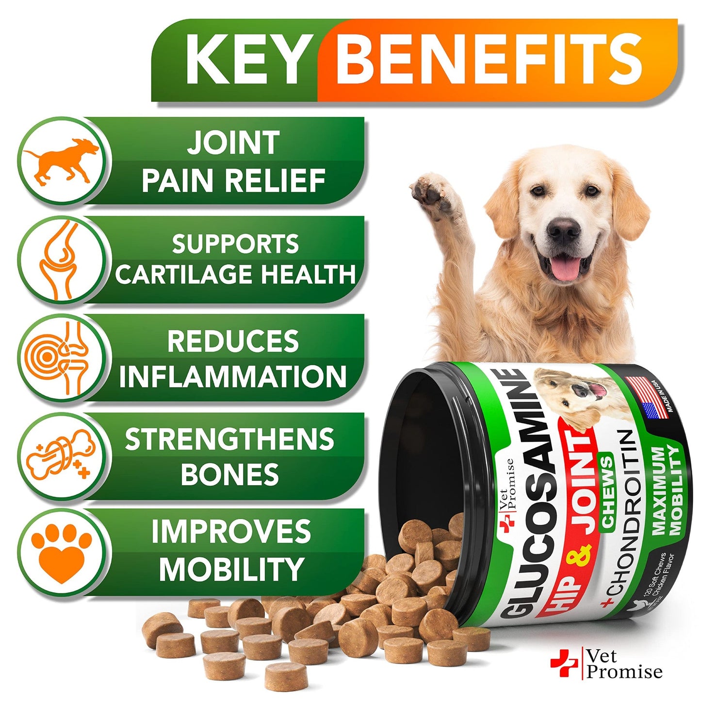 Vet Promise Glucosamine for Dogs - Hip and Joint Supplement for Dogs - Glucosamine Chondroitin - Joint Pain Relief Pills - MSM - Advanced Health Support Supplement - 120 Mobility Chews - Made in USA