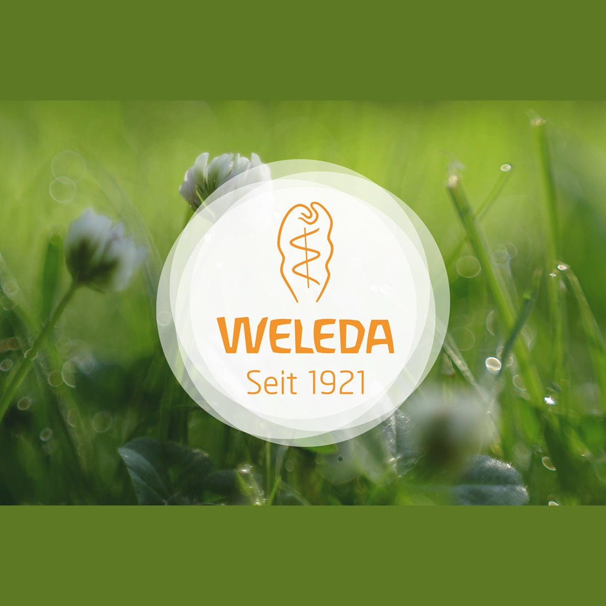 Weleda Refining Toner 100ML