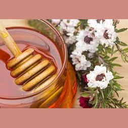Algem Natura Manuka Gummy 40's