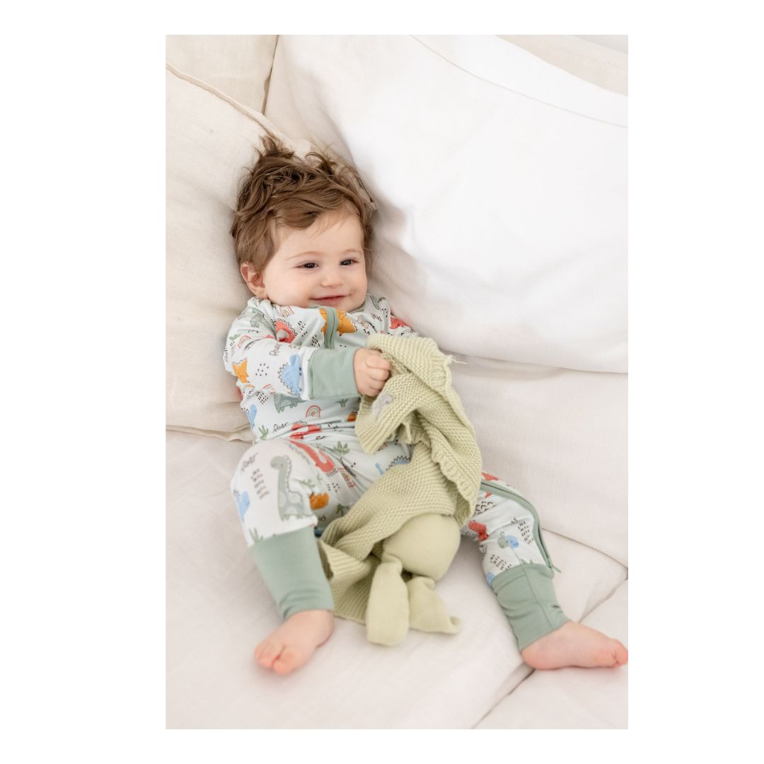 TeeJayz Dino Bamboo Zippy Onesie 9-12 Months