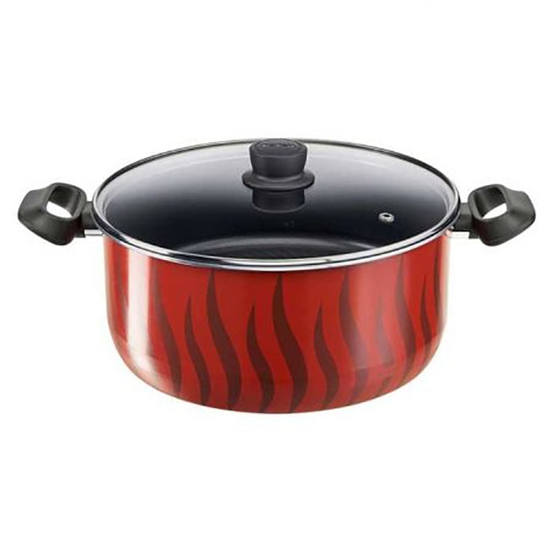 Tefal C3045485 Tempo Flamme – Stewpot 30 + Glass Lid