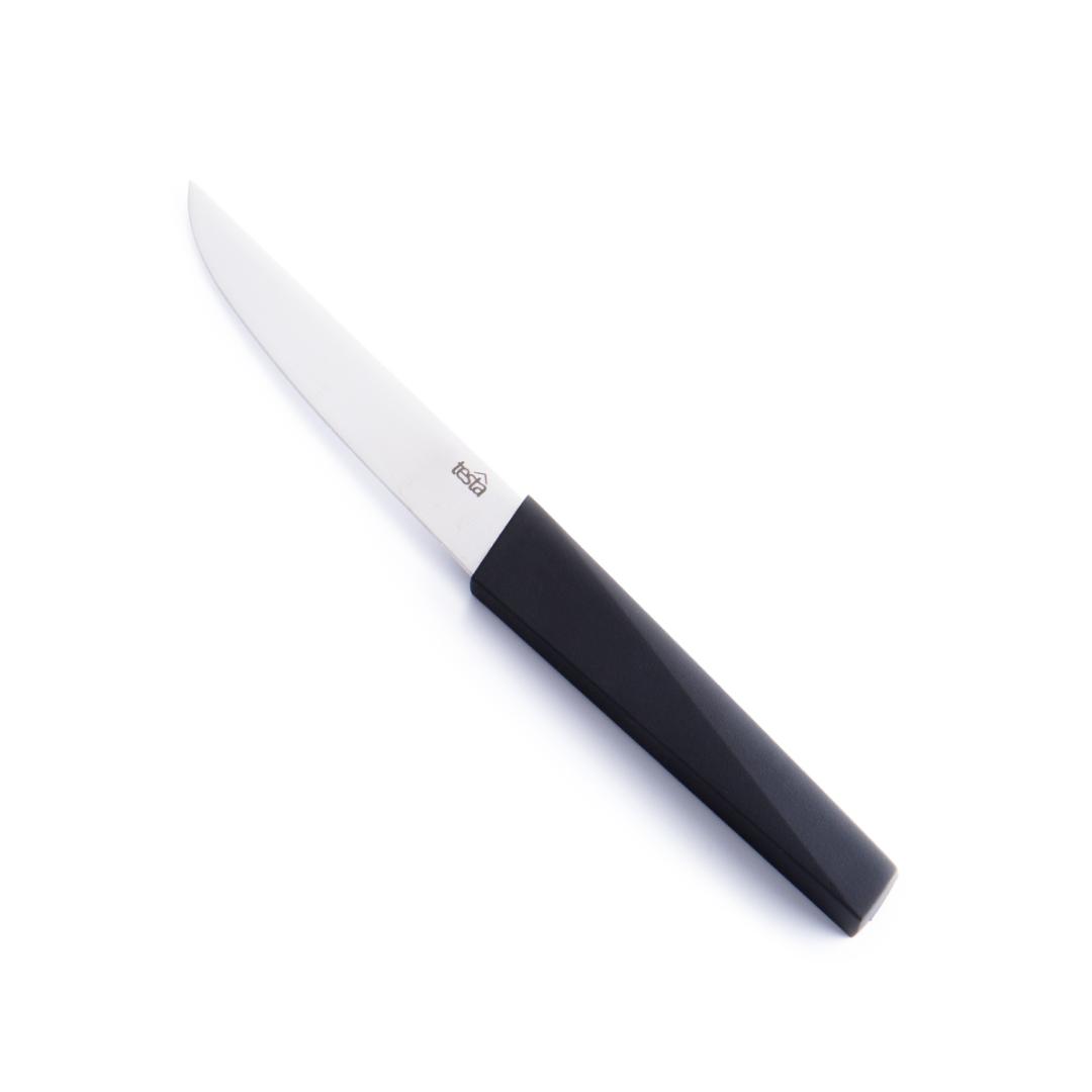 TESTA – Fruit/ Utility Knife ABS Handle 6