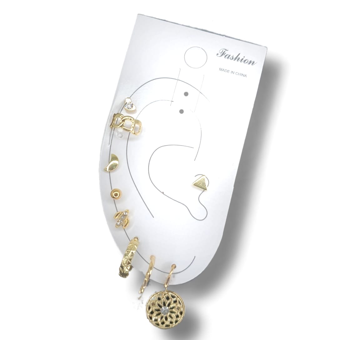 Earings set #504