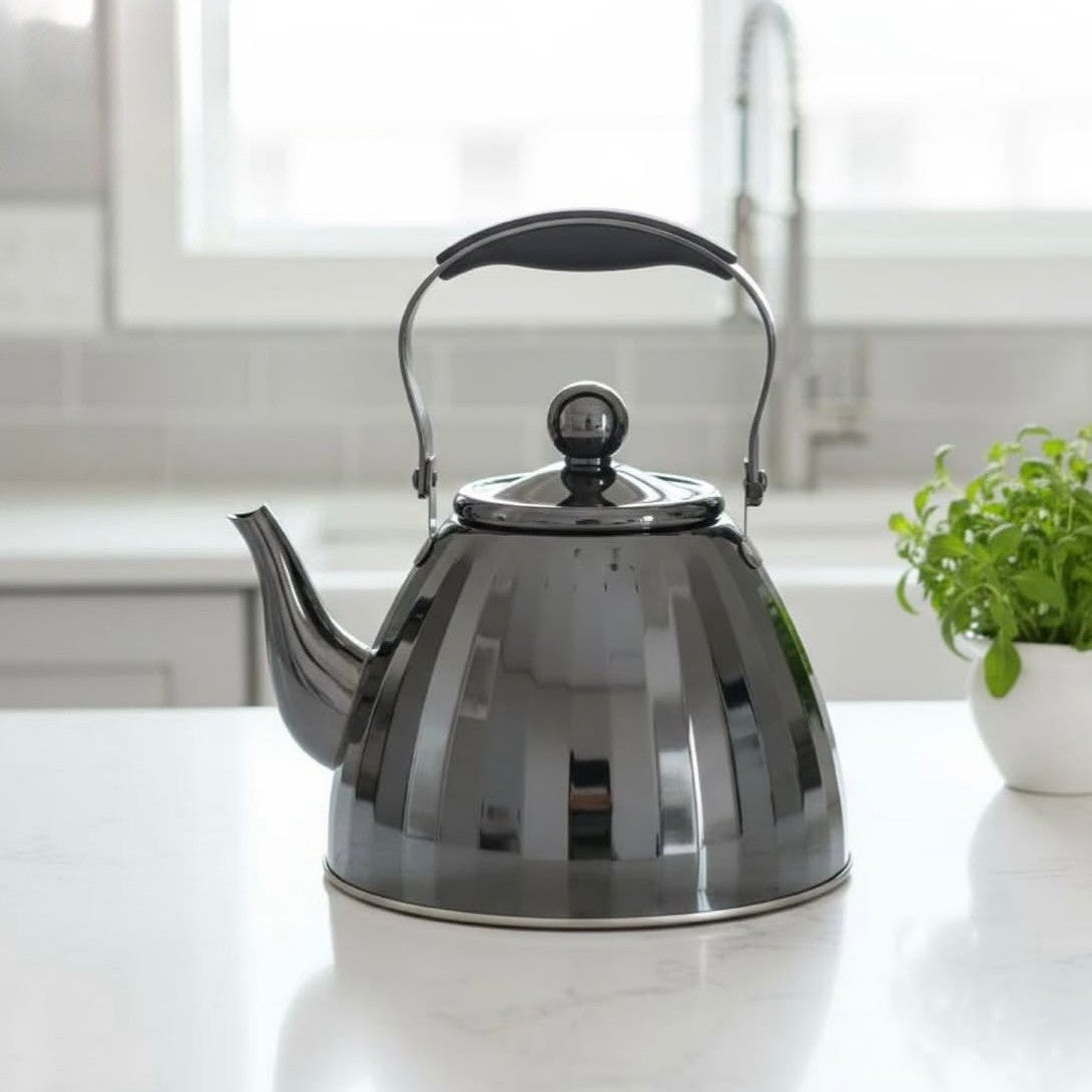 Vacalina , 2L Stainless Steel Tea Kettle (Black With Silver)