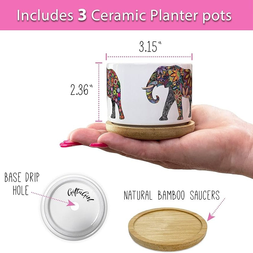 Elephant Planter Pots (Set of 3 Pcs)