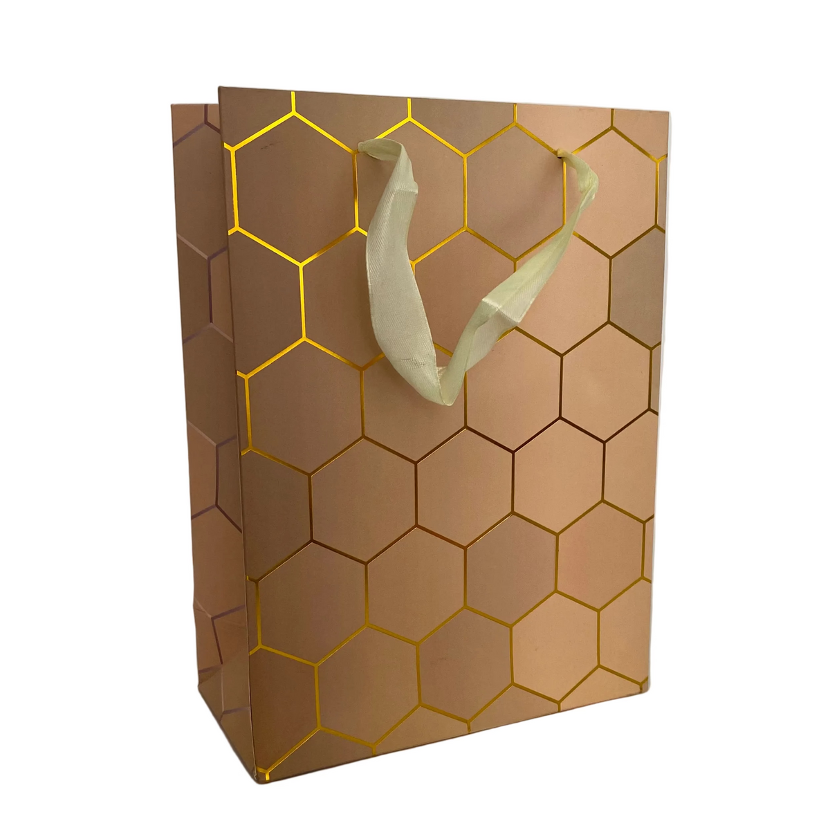 18x24x8.5 Cm Gift Bag