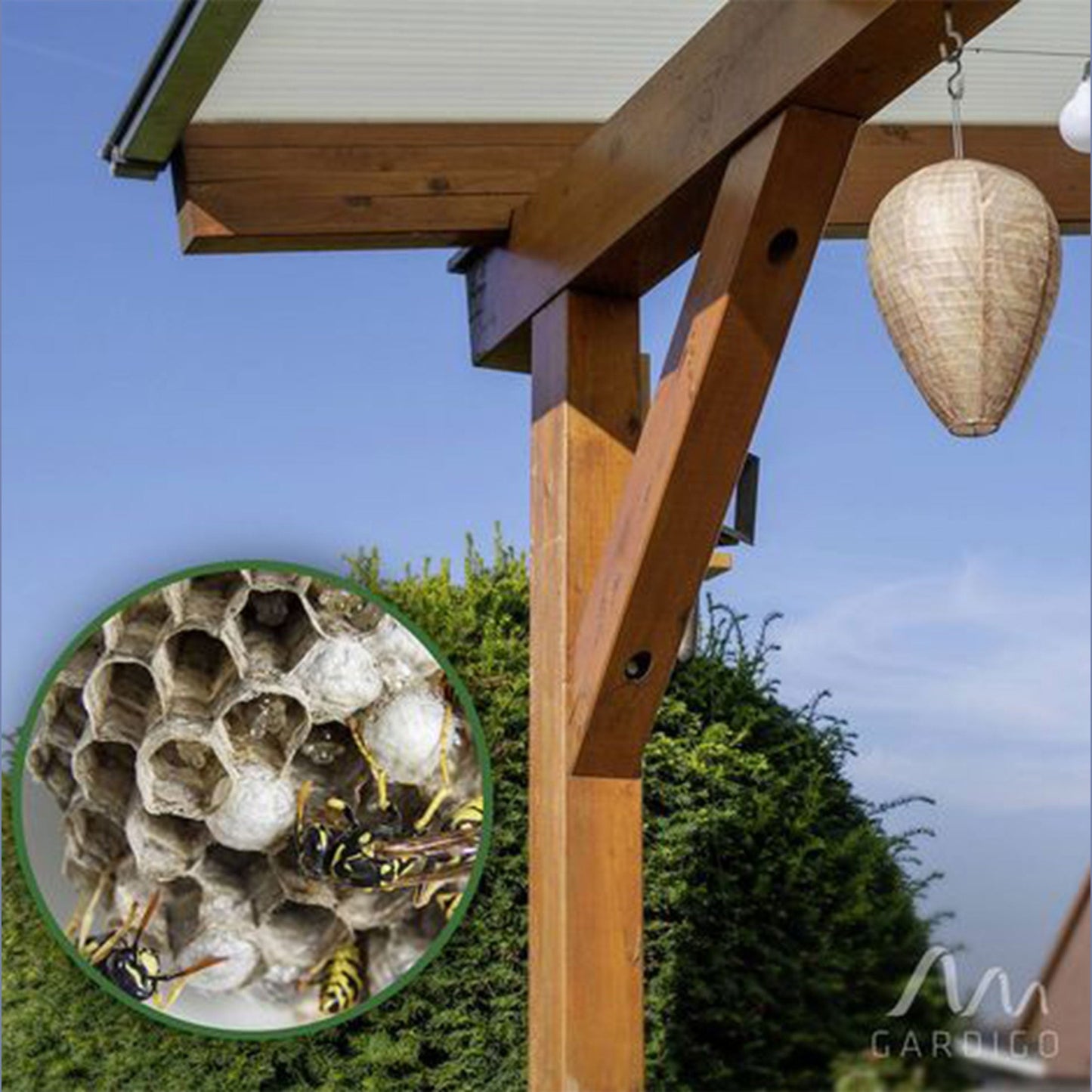 Wasp-Free Premium