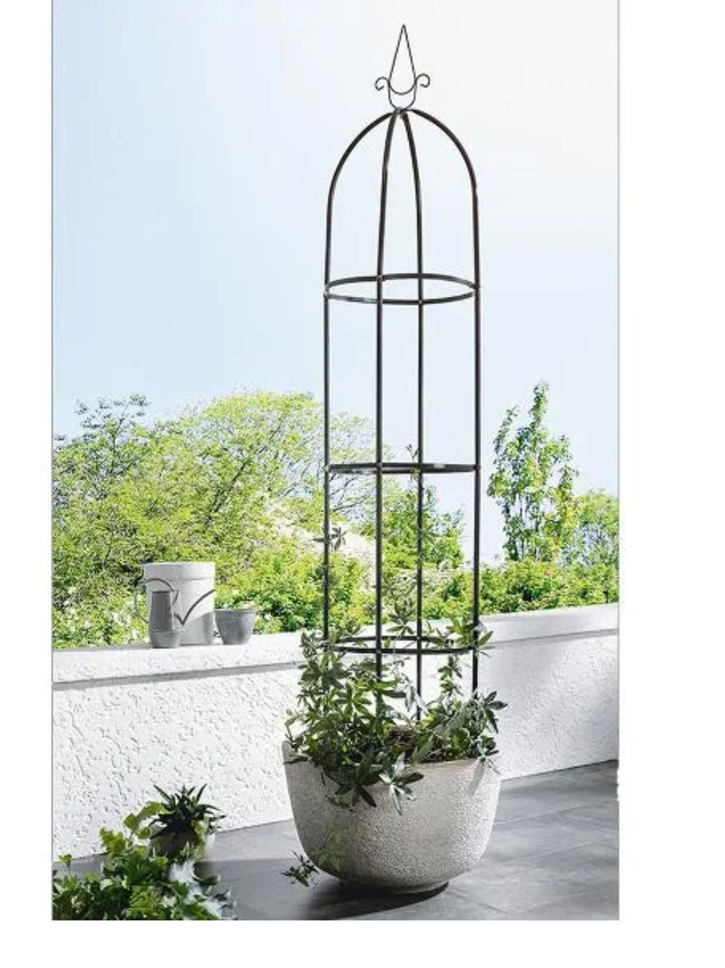 Arch, Supports for Climbing Plants