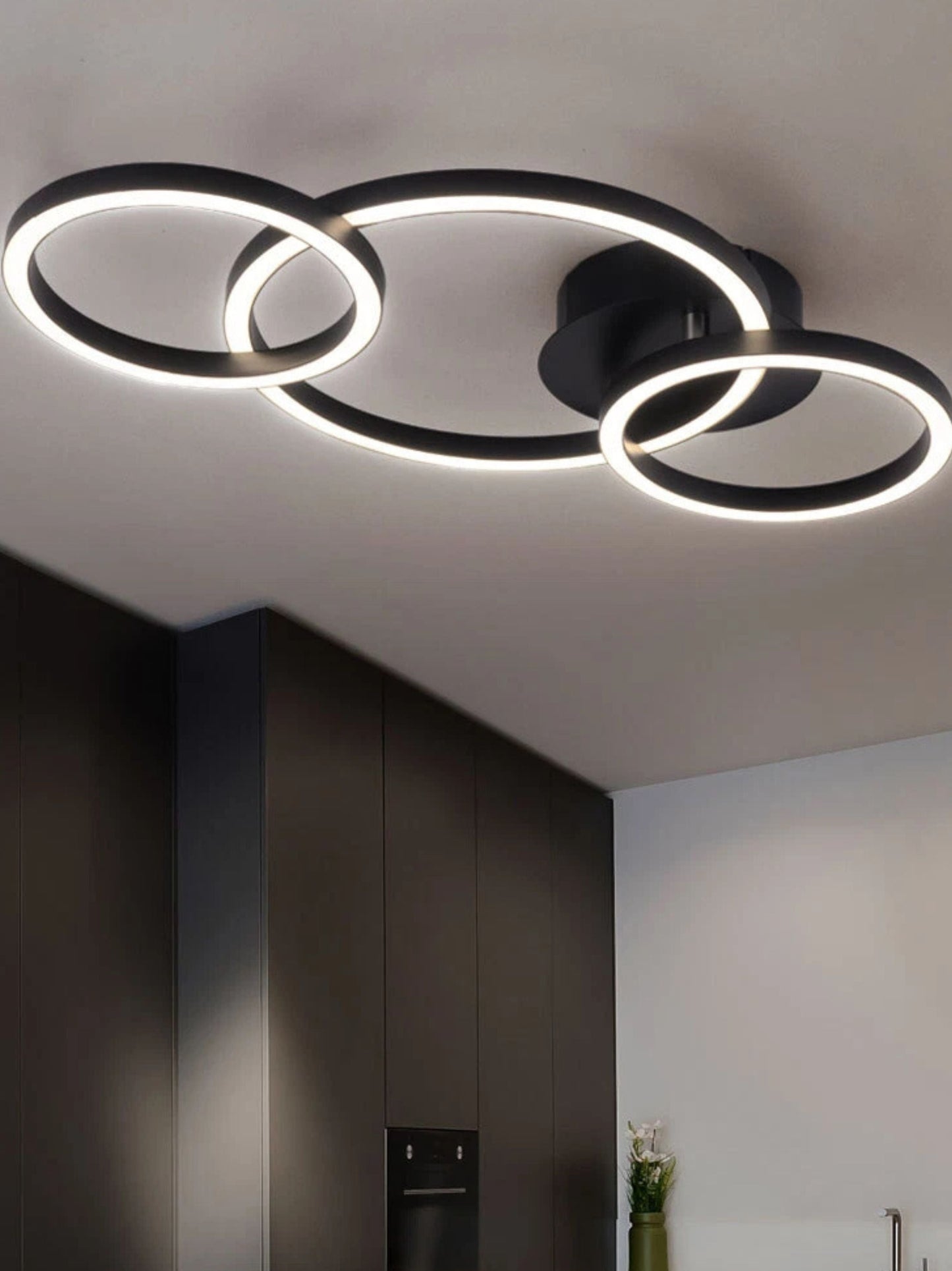 Ceiling Light