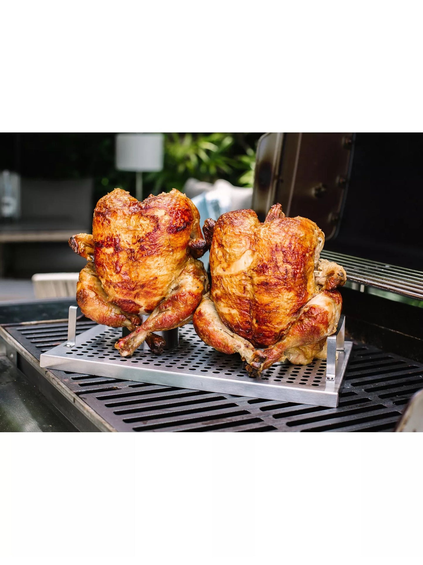 Double Chicken Bbq Roaster Rack