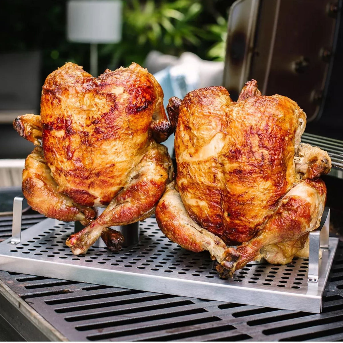 Double Chicken Bbq Roaster Rack