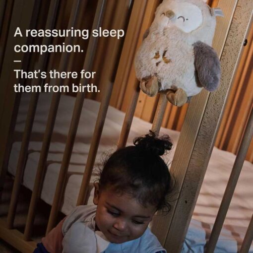 Tommee Tippee - Ollie Owl - Deluxe Sound & Light - Sleep Aid