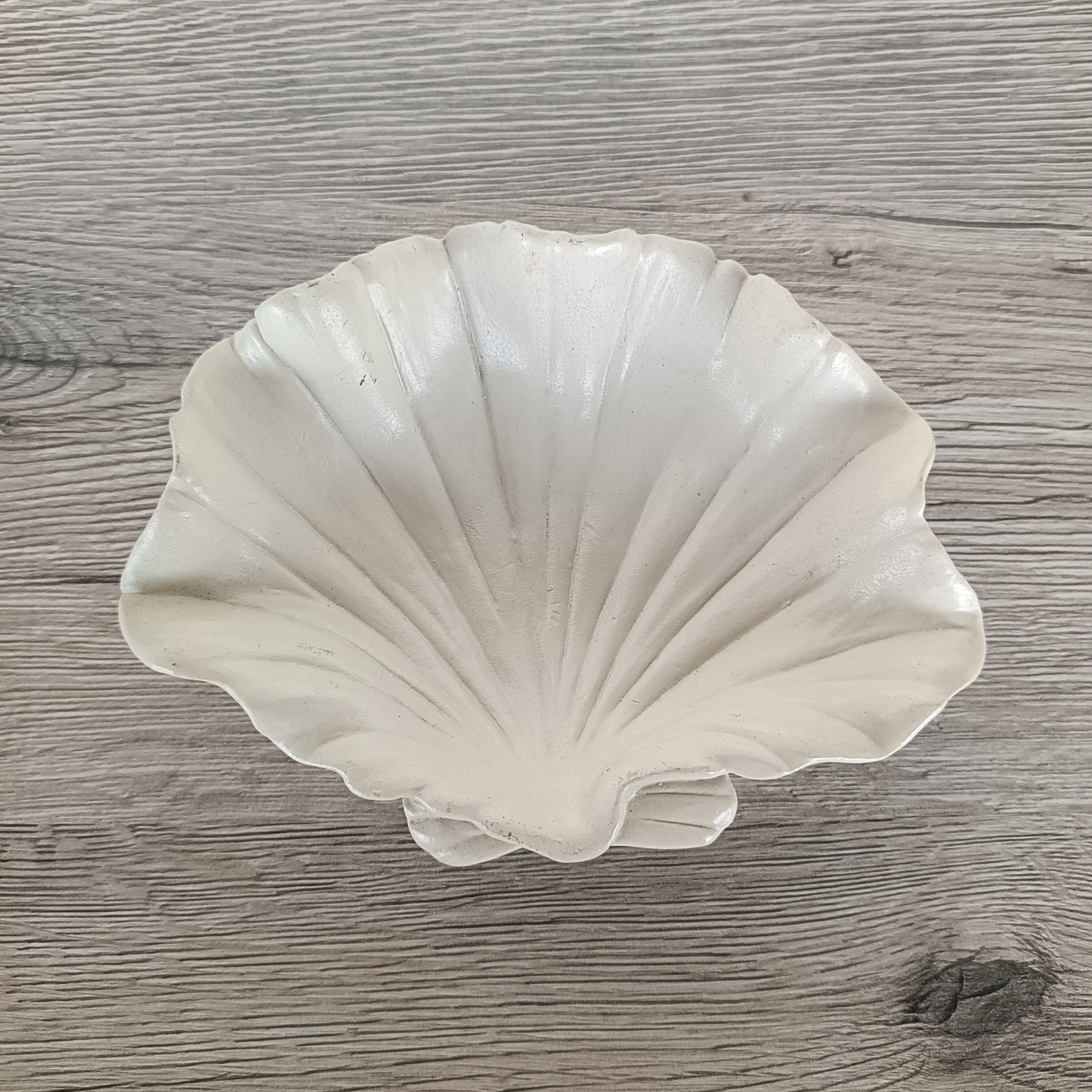 Decorative Seashell Bowl