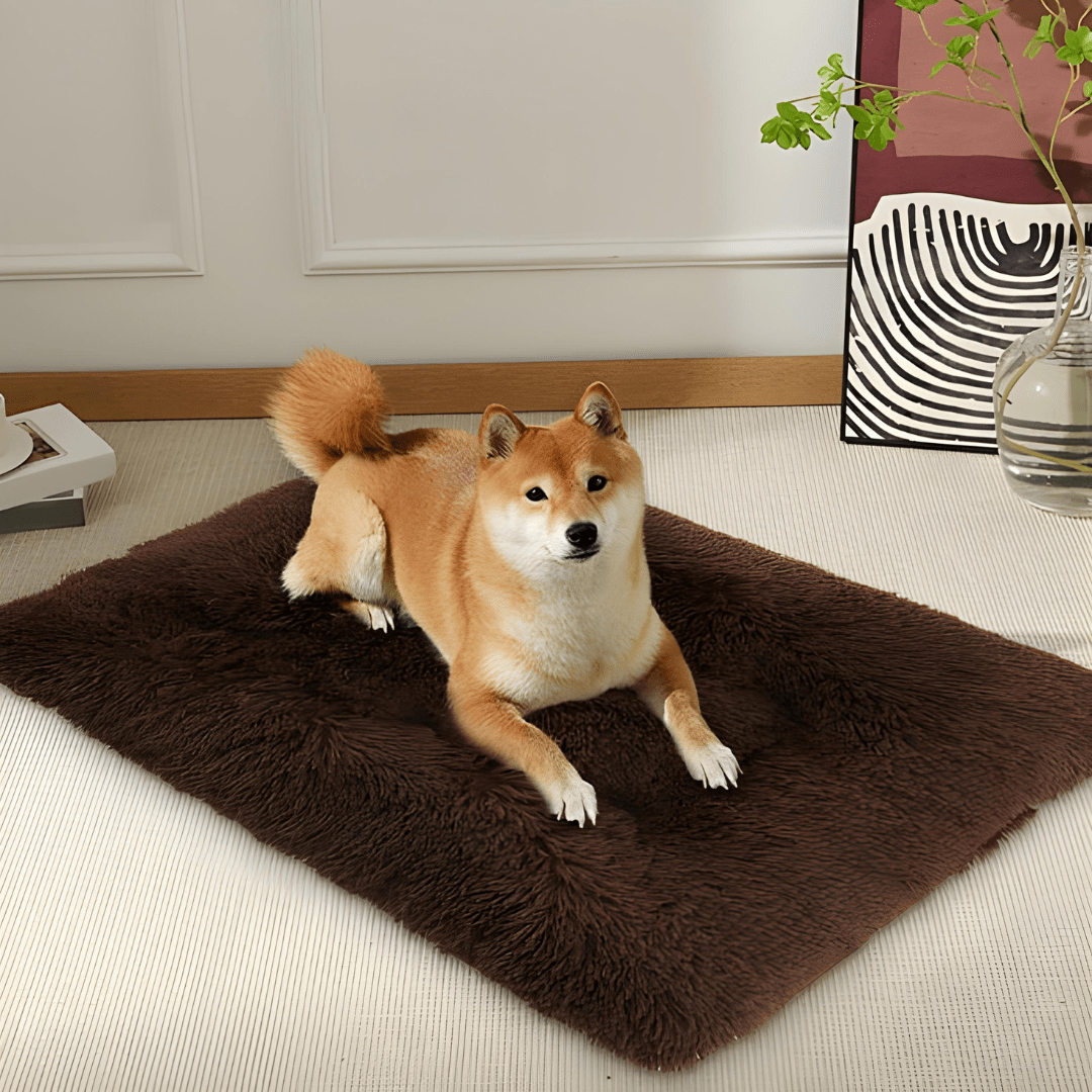 XXXL Ultra Soft Dog Bed – 120×83 cm Fluffy Anti-Slip Bed for Pets up to 30kg