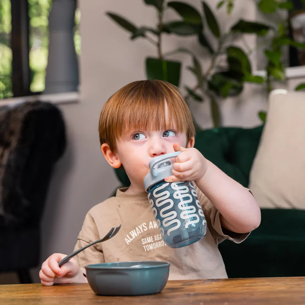 Vital Baby Hydrate sippy straw 350ml