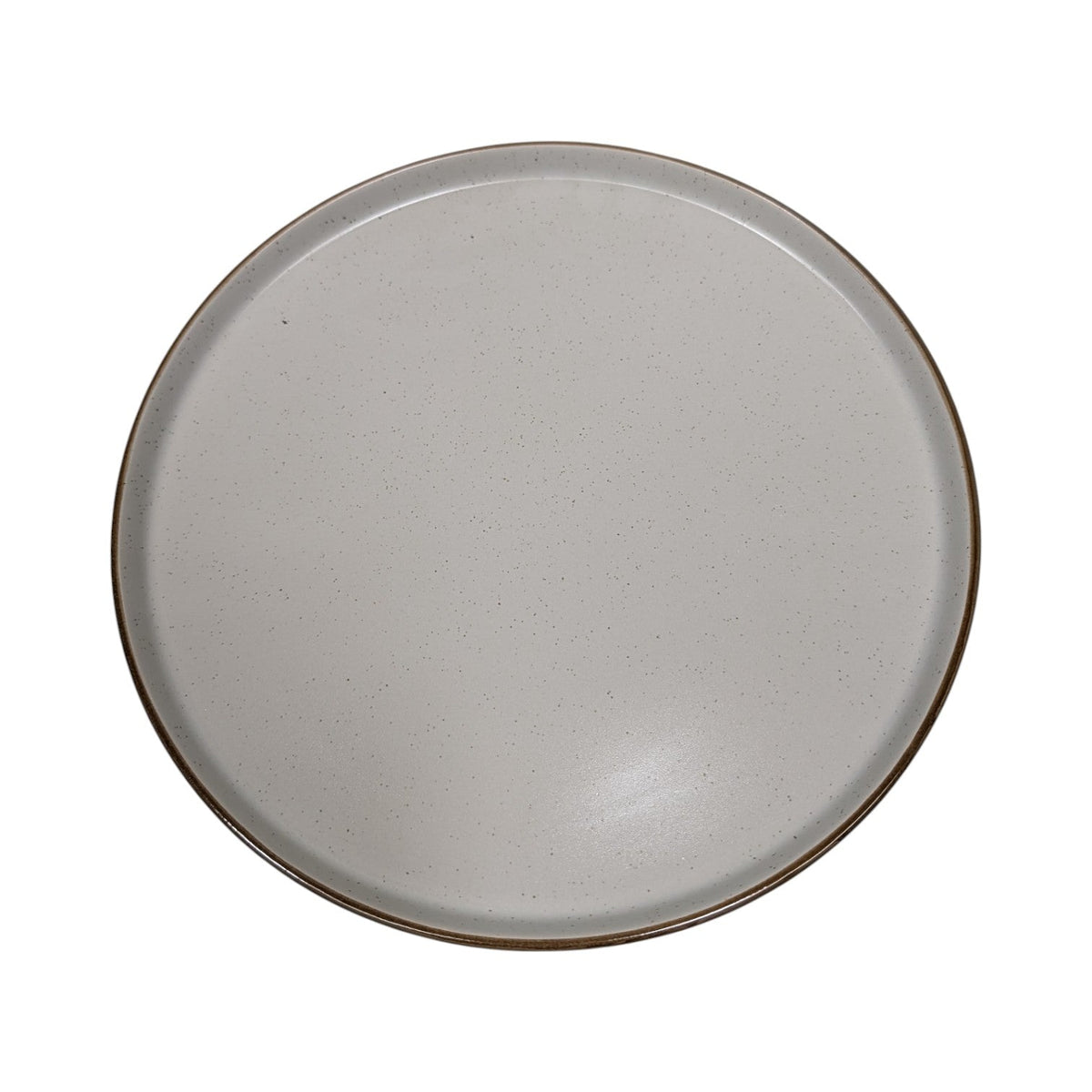 Gray 6pcs 10.5" Stoneware Dinner Plate X1202