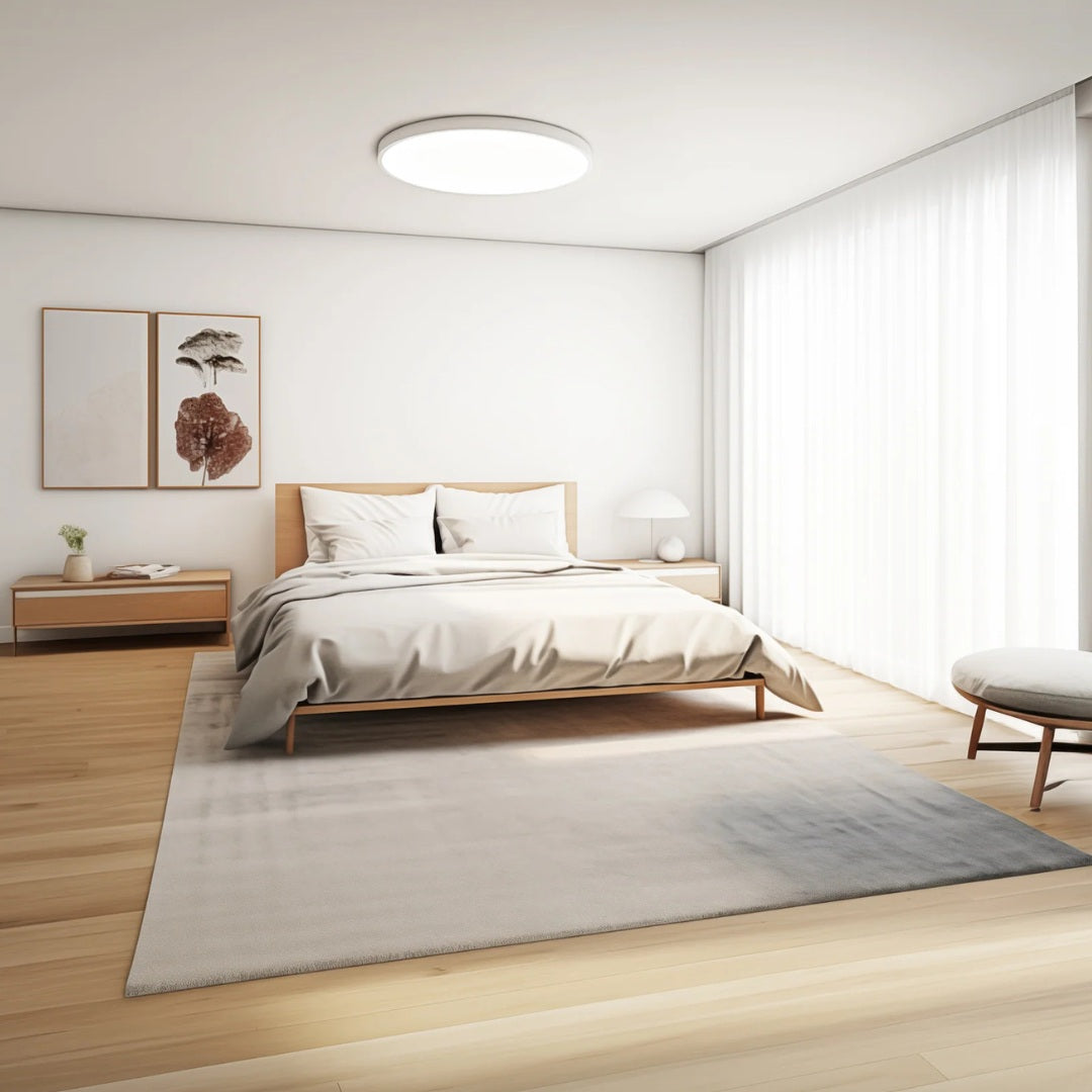 Xiaomi Smart Ceiling Light D30