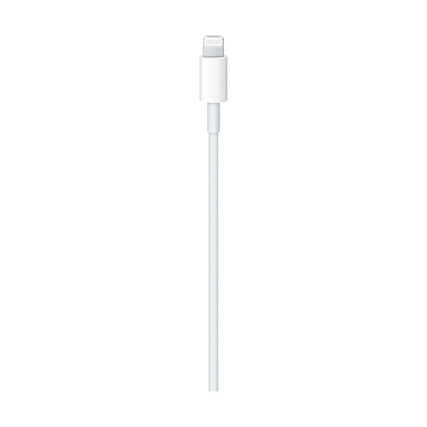 Apple USB-C to Lightning Cable (1m)