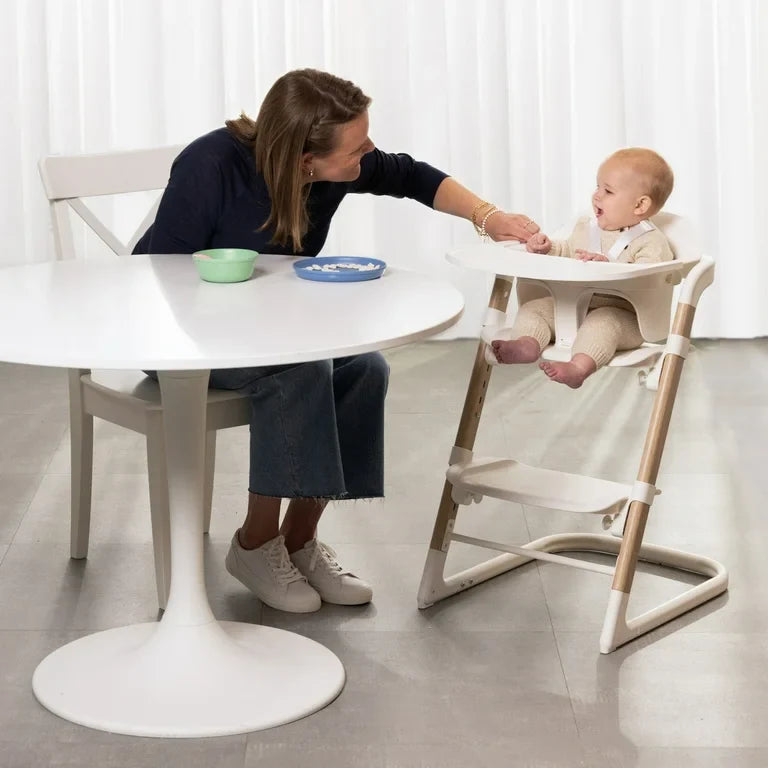 Evenflo Rightseat Multistage High Chair