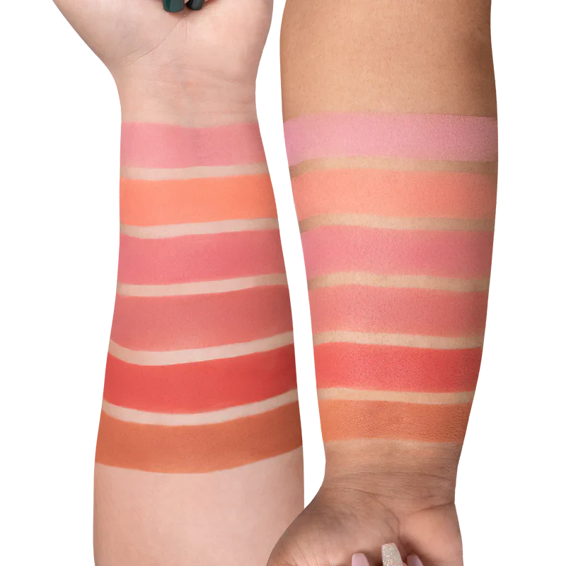 Ofra mini mix palette -Charm your cheeks
