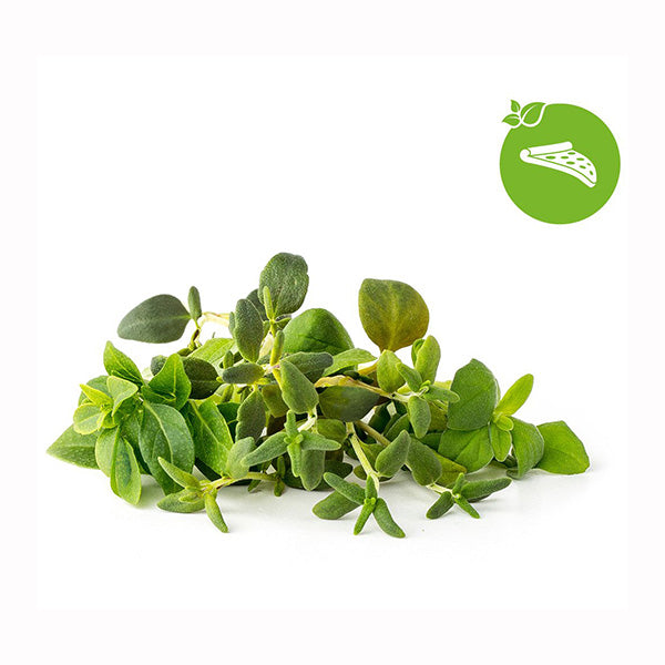 Click and Grow Italian Herb Mix - 9-Pack