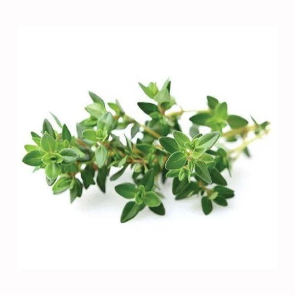 Click and Grow Thyme Plant Pods - 3 Packs
