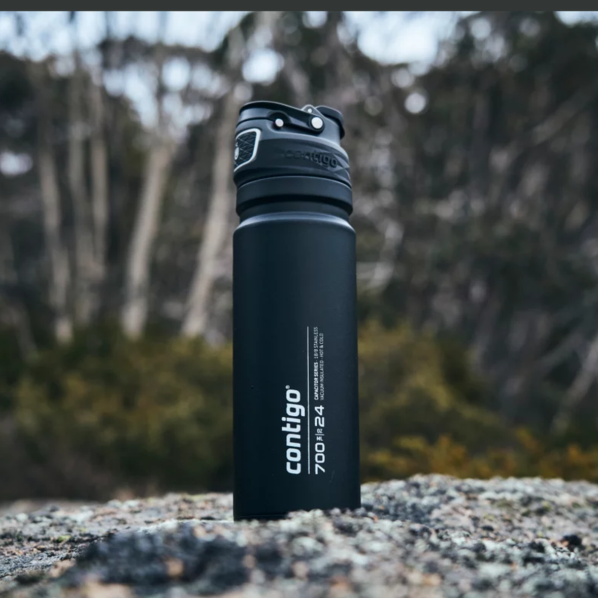 Contigo Free Flow AUTOSEAL™ Vacuum-Insulated Water Bottle, 700 ml (Black)