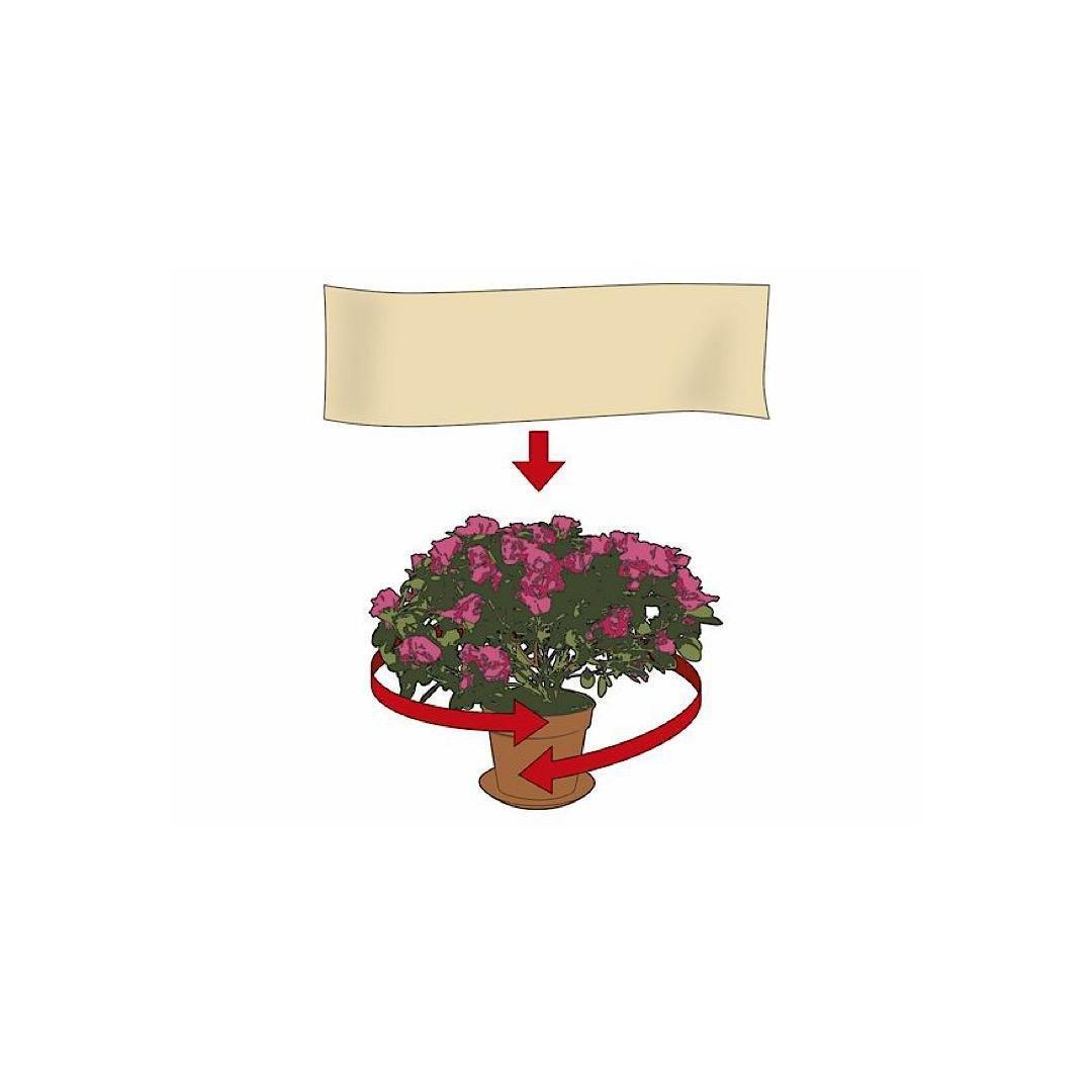 FLOREBEST WINTER COVER FOR PLANTS