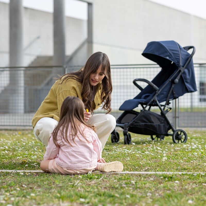 Inglesina Now Stroller