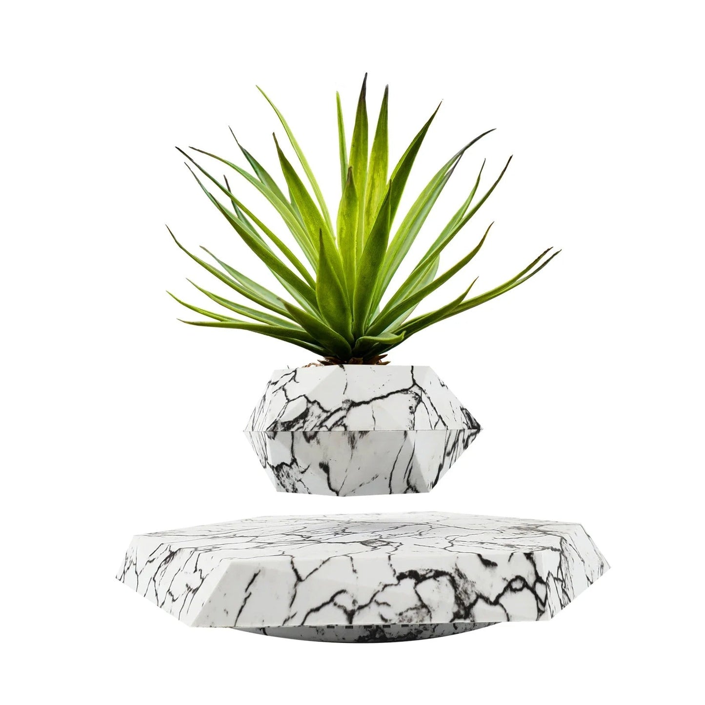 Floating Plant Levitating New Version