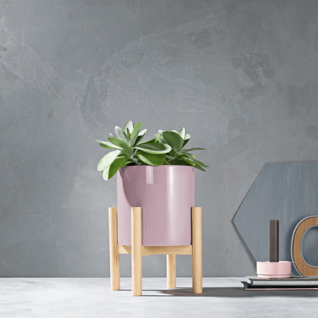 Melinera Plant Stand