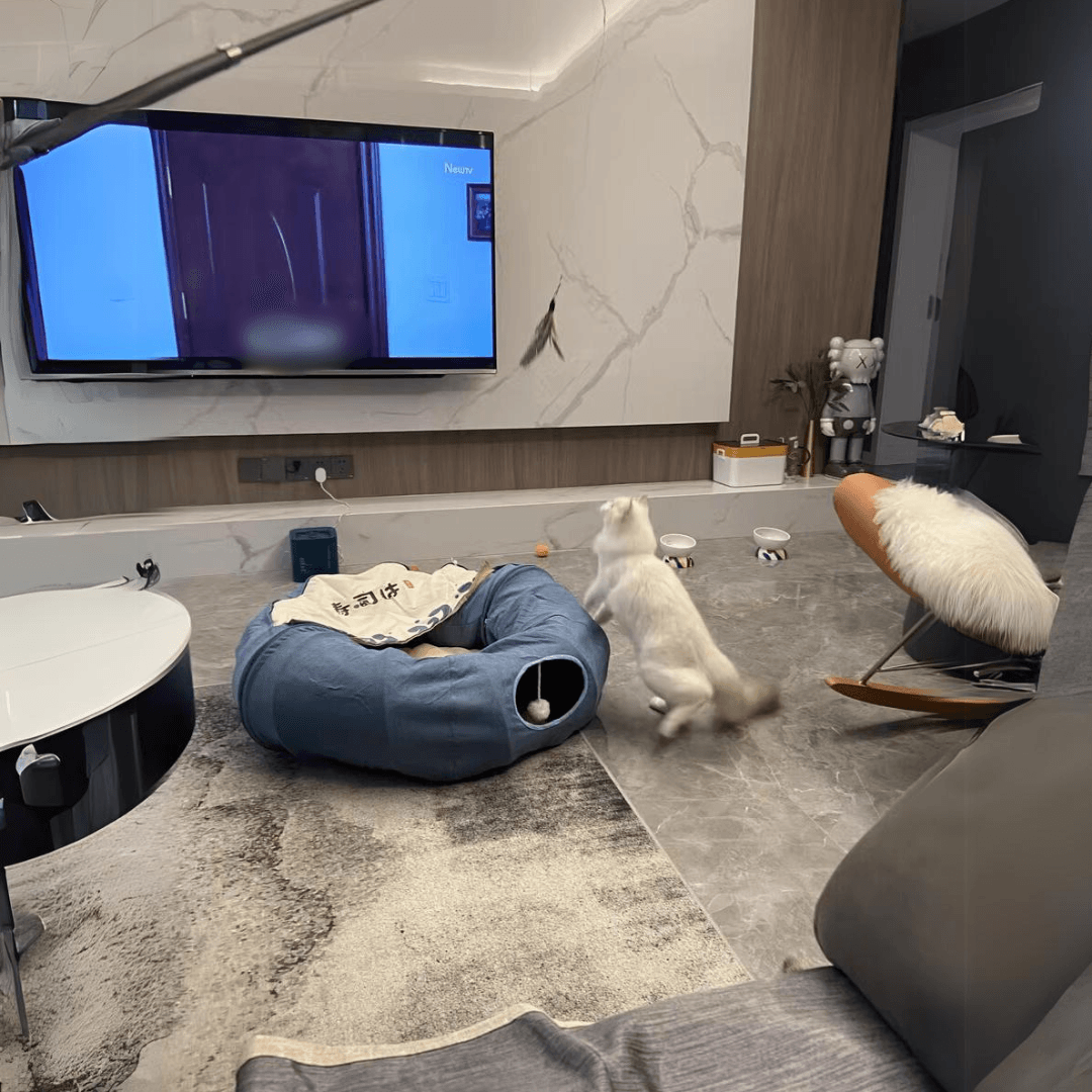 Multipurpose Foldable Cat Tunnel Bed And Bed