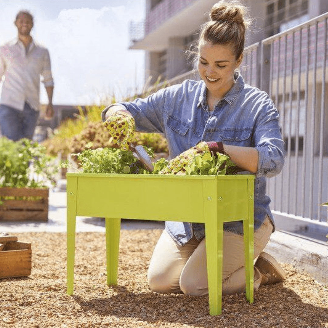 PARKSIDE MINI VEGETABLE TABLE