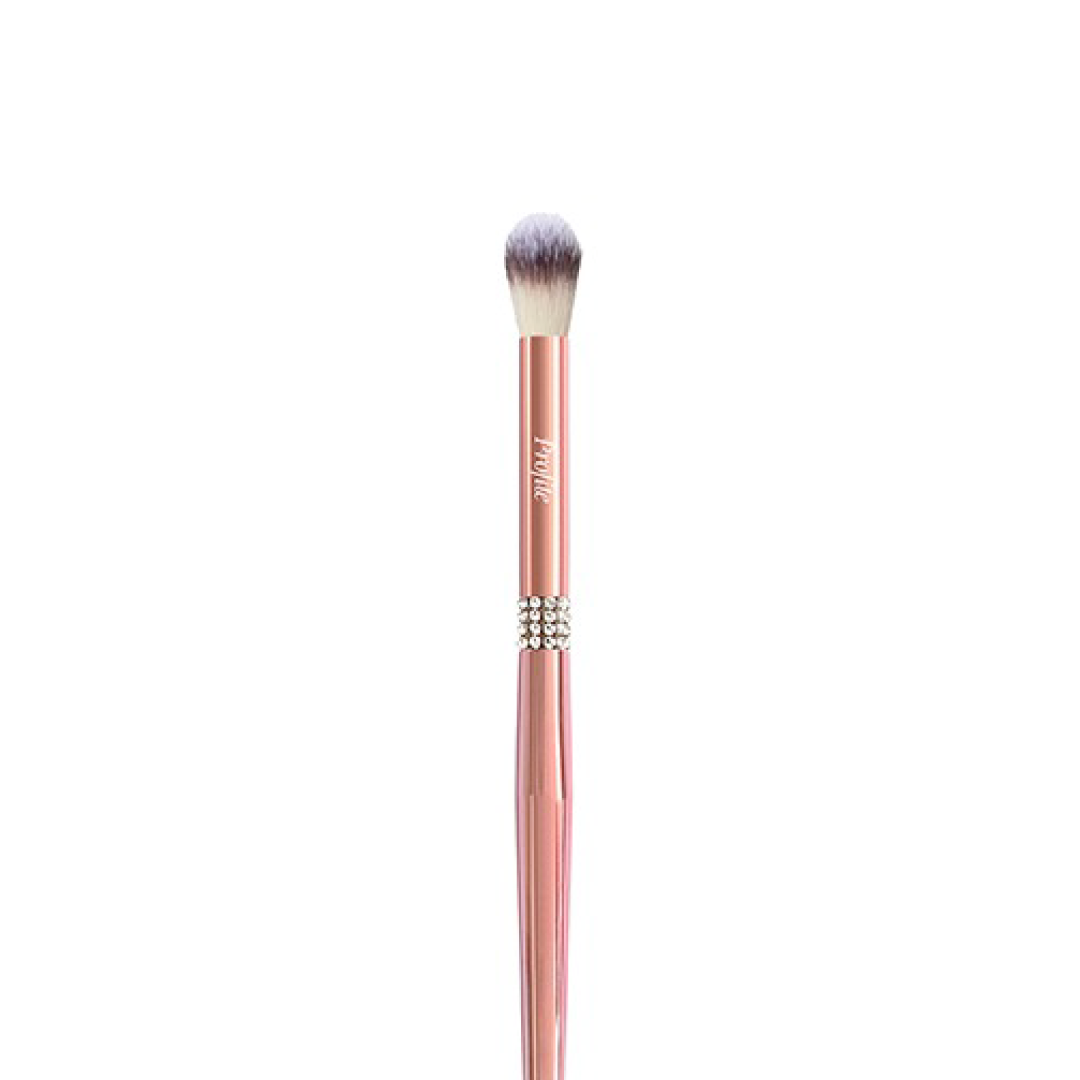 Profite #10 large blending brush