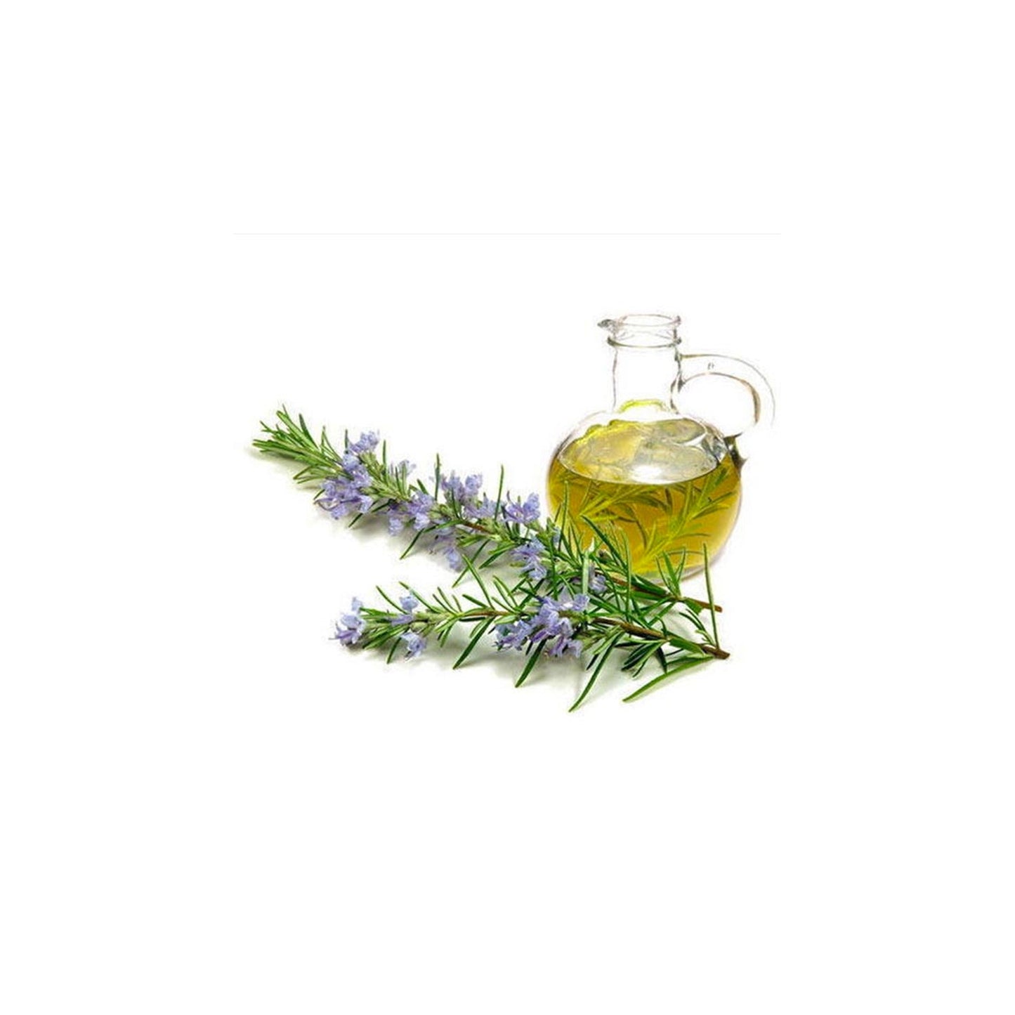 HERBATY ESSENTIAL OIL - ROSEMARY - Medaid International