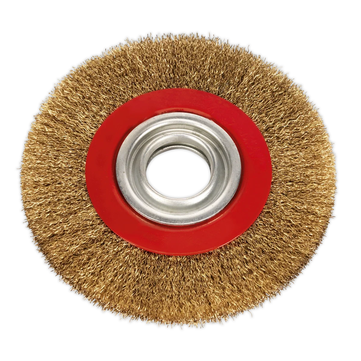 Parkside Wire Brush Wheel