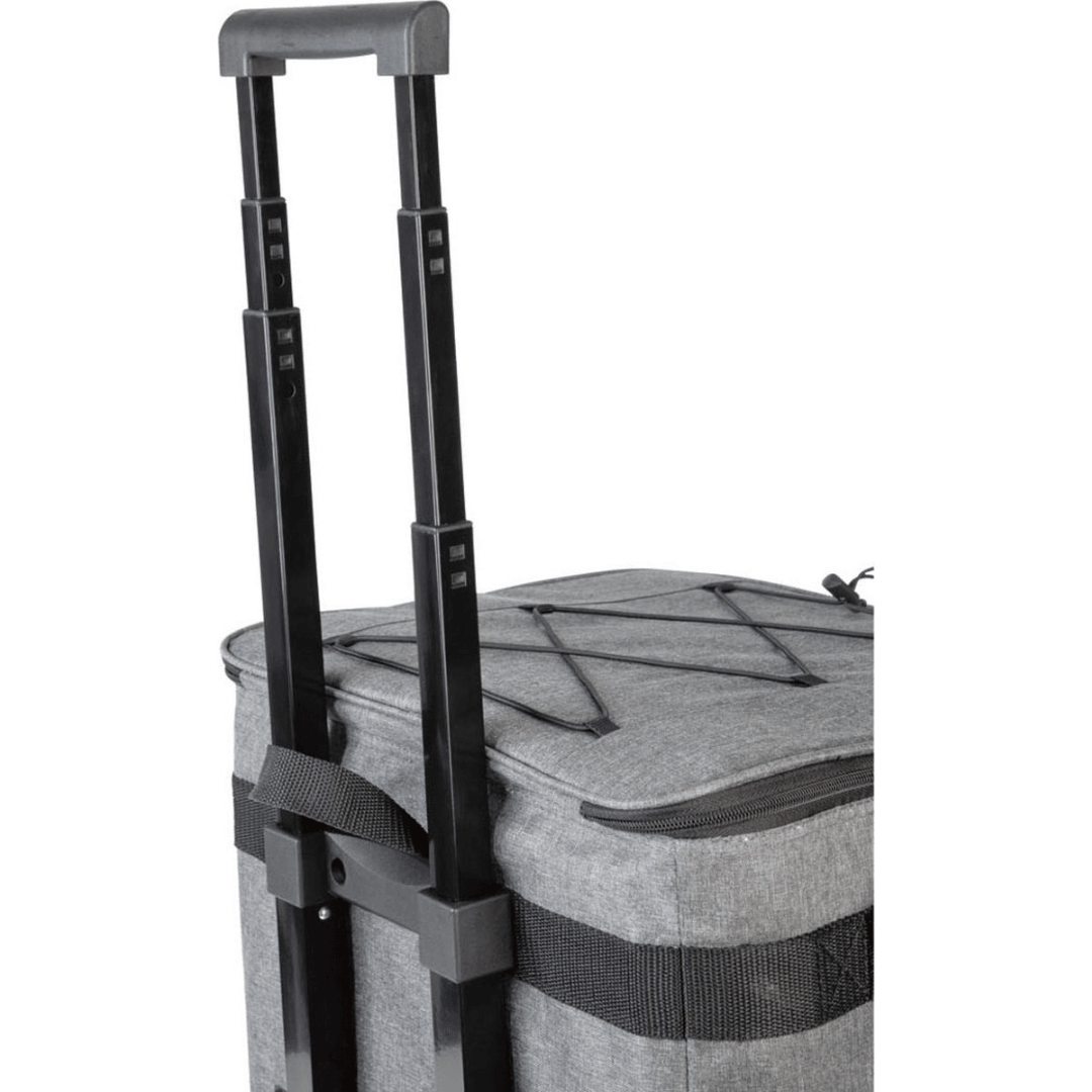 Shopping Trolley With Cooling Function 40L