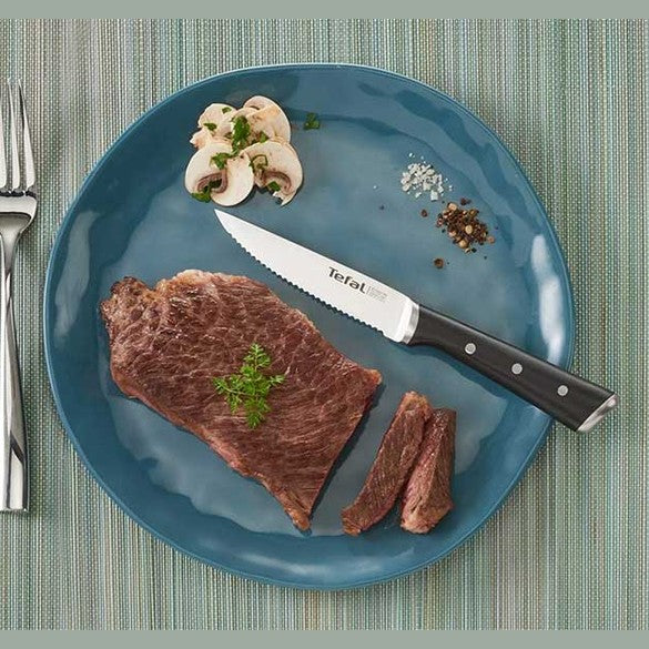 Tefal Ice Force Stainless Steel Steak Knives – 11cm – Set of 4, K232S414