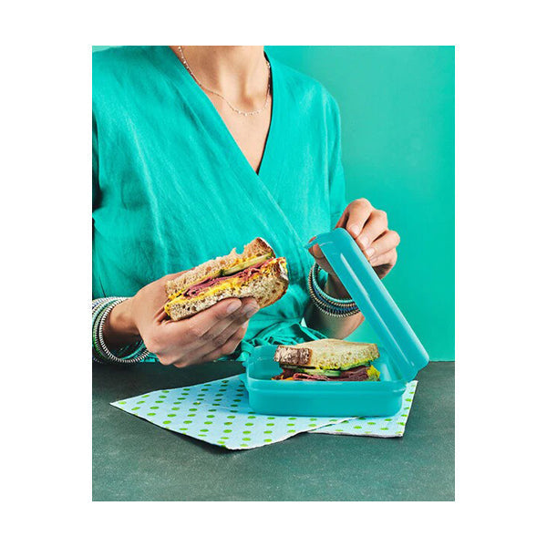 Tupperware, Eco Sandwich Keeper Square - 262170