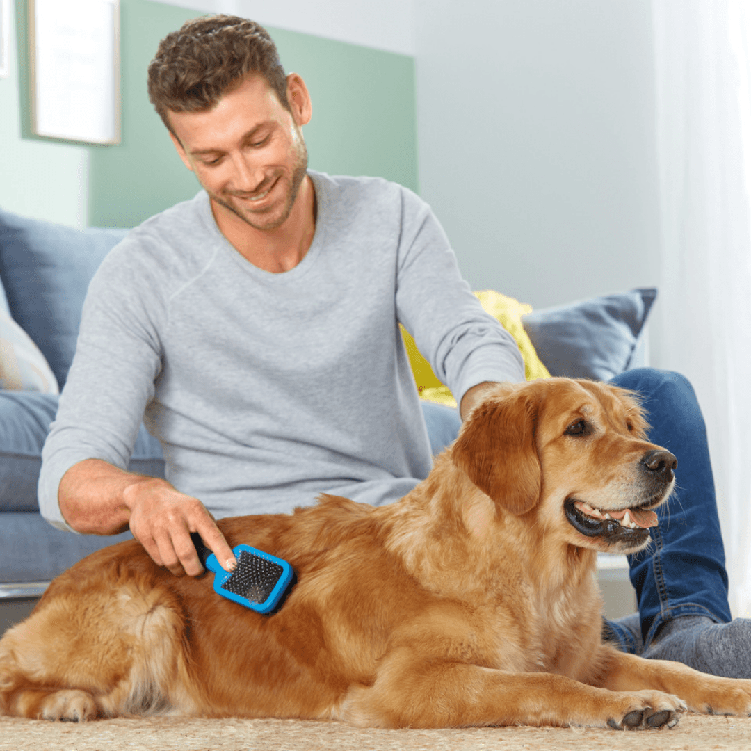 ZOOFARI DOG BRUSH