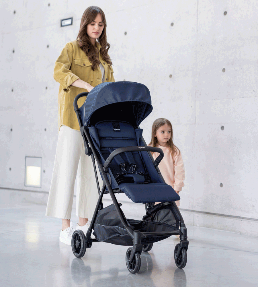 Inglesina Now Stroller