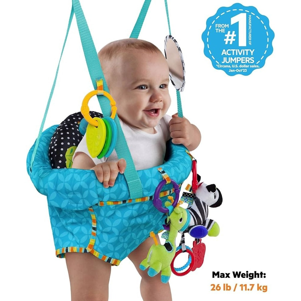 Bounce 'n Spring Deluxe Door Jumper